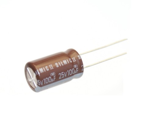 Audiofilský ELNA SILMIC II 100uF/25V 2 ks. (#152)