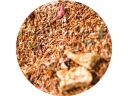 Rooibos červený krík RED HOOD 50g