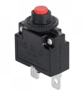 ISTIČ 8A 250V POISTKA (4473)