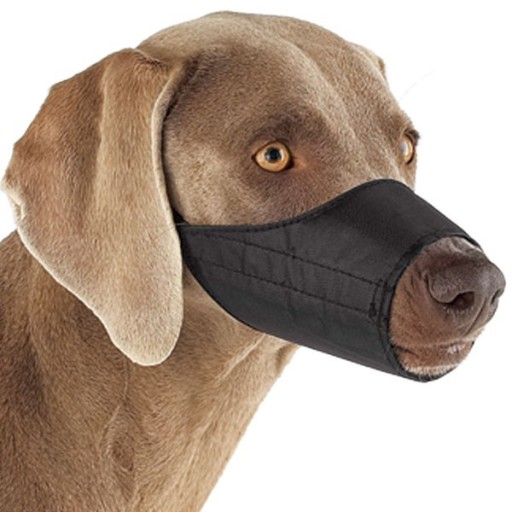 NÁhubok PRE PSA, MAČKU YORKY, VODÍTKO