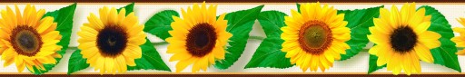 Deco Border 83 dekoratívna nástenná lišta