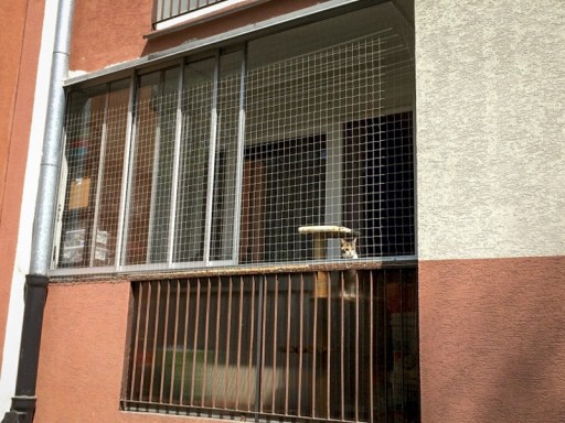 LEPIDLO NA HÁKOVANIE BEZ VŔTANIE SIETE PRE MAČKY NA BALKÓNOVÉ VTÁKY ZNAČKA „AVIK“
