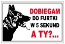 TANIER POZOR BAD DOG 20x30 dibond doska