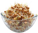 HNEDÁ ŠOŠOVICA - Semená na klíčky 250g