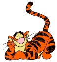 NÁLEPKA NA OKENNÝ ZRKADLOVÝ NÁBYTOK OKNO TIGER