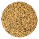 Senovka grécka - semená na klíčky 100g