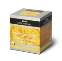 Dilmah EXCEPTIONAL Citrus 20 vrecúšok