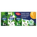 HYGIENICKÉ Utierky ZAMATOVÉ, EUKALYPTOVÉ A MENTOLOVÉ, 4-IN, 10 KS