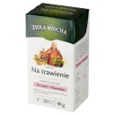 Big-Active bylinný čaj na trávenie 40 g