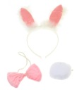 Sexy set zajačika Playboy EARS FLY TAIL
