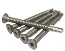SAMOVRTACIE SKRUTY DO KOVU 4,8x45 TORX Oc.P 20s
