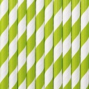 Z. JABŁUSZKO STRIPES papierové slamky na narodeniny