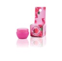 Rose Natural of Bulgaria ružový balzam na pery v tégliku 5 ml