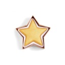 Makeup Revolution Star Gold Highlighter