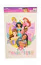 DEKORATÍVNA FÓLIA NA OKIENKO DISNEY PRINCESS