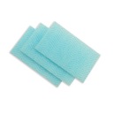 Telové umývanie s čistiacim prostriedkom Cleanet Plus 10