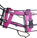 Postroj Guard Sunka Basic I pre psov M-L