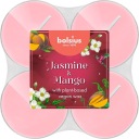BOLSIUS Maxi vonné sviečky Čajové sviečky 8h JAZMÍN a MANGO - 8 kusov