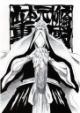 Anime Manga Bleach Plagát blh_093 A3