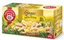 TEEKANNE Fruit 20 tb zázvor extra silný