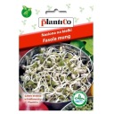 MUNG BEANS zlatá fazuľka, semienka na klíčky 40g