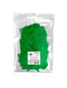 Ozdobné pierka 16g, 5-12 cm Titanum Green