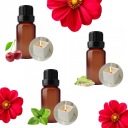 Vôňa na sójové sviečky, parafínový vosk, sada vonných olejov, 3 x 10 ml