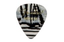 FENDER Zebra Stredný výber z GITAROWNIA_PL