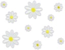 NAŽEHLOVAČKY Nášivky na oblečenie DAISIES Jarné kvety Narodeniny 10 ks.