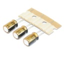 AUDIOPHIL NICHICON FG (Fine Gold) 100uF/16V - 3 ks (#650)