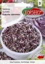 Červená kapusta, semená na klíčky 10g - Torseed