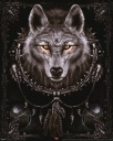 Plagát na stenu Spiral Wolf Dreams Wolf 40x50 cm