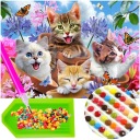 OBRÁZOK pre diamantové vlepovanie Diamantové vyšívanie CATS Diamantové maľovanie 5D