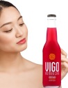 VIGO KOMBUCHA SCHISANDRA NÁPOJ 330ml
