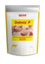 DOLMIX P 1,5 kg.