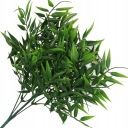 RUSCUS BOUQUET HRUBÉ KONÁRE ZELENÝ PRÍDAJ DO KYTICOVÝCH KRÉMOV