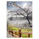 Samolepky A5 PRIVATE Japan Cherry Blossom
