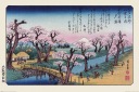 Nástenný plagát Mount Fuji Koganei Bridge 91,5 x 61 cm
