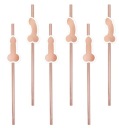 PENISKI slamky rose gold BACHELOR PARTY 8 ks.