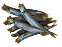 CAPEPLAST STUDENÝ ÚDENÝ 300-/+20g