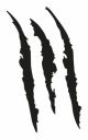 Nálepka CLAW na motorku 15cm _COLORS