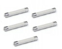 POISTKA RÝCHLA KERAMICKÁ 10A 6x30mm