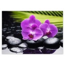 A5 LEVEL Orchideové nálepky na Valentína