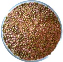 MILD MIX - semená na klíčky 250g