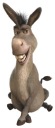 NÁLEPKA NA OKENNÉ SKLO ZRKADLO SHREK SHREK SOMÁR