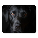 PODLOŽKA POD MYŠ PRE PSA LABRADOR