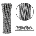 Papierové slamky čierne cik-cak 230x8mm ECO 100 ks