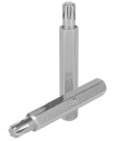RIBE S2 BIT END 6x75mm RICHMANN C3362