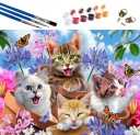 MAĽUJEME PODĽA ČÍSEL MAĽUJEME OBRAZ PRE DETI SET 47X58CM