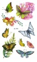 Umývateľné tetovanie pre deti BUTTERFLIES EC781